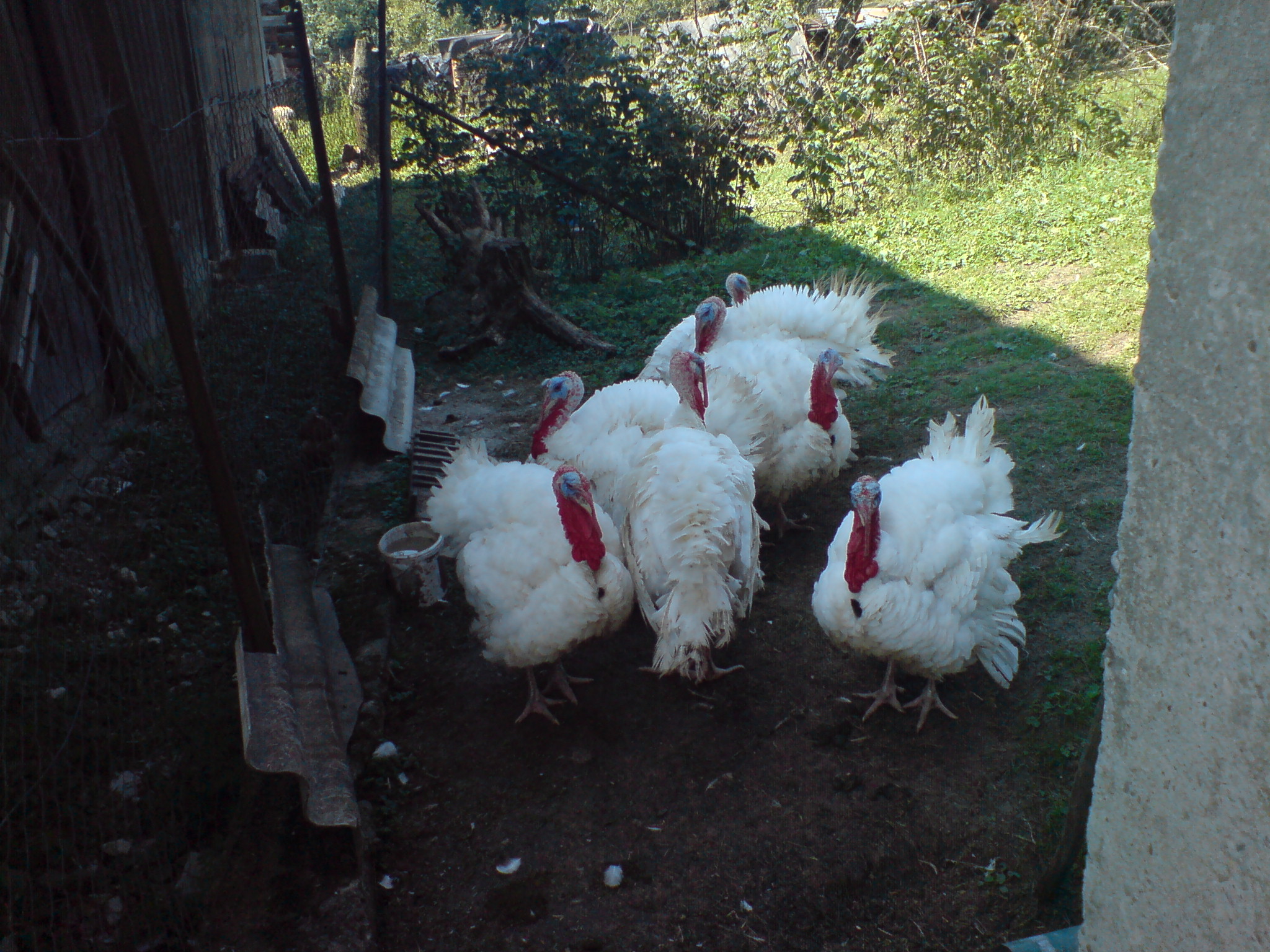 DSC00031.JPG