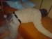 DSC00063.JPG